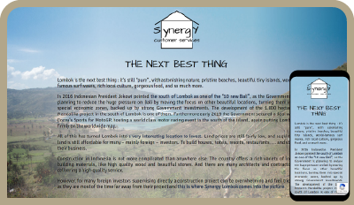 Synergy Lobom website screenshots